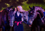 FORMATION GRAND PUBLIC CHEVAUX-ARTISTES! TOUT APPRENDRE DU CHEVAL, MONTER UN NUMÉRO, L'ENTRAINER ET L'AIDER SELON SES TALENTS NATURELS : NOTRE FORMATION SEMI-PRO LA PLUS COMPLÈTE & POPULAIRE!