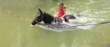 Attraction de parc : Baignade à cheval (3 tours) - Valide avec toute entrée de Grand parc avec spectacles