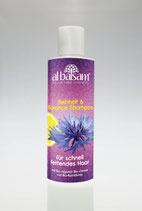 Reinheit & Balance Shampoo 200ml