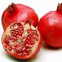 有機石榴籽油 Organic Pomegranate seeds Oil