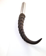 Flachmann Horn Antilope afrikanisch