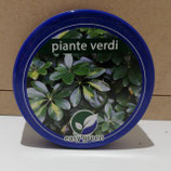 003 CONCIME PIANTE VERDI 250g