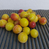 Mirabelles