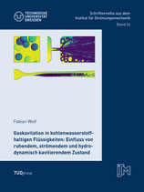 24: Gaskavitation in kohlenwasserstoffhaltigen Flüssigkeiten: Einfluss von ruhendem, strömendem und hydrodynamisch kavitierendem Zustand