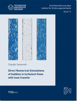 13: Direct Numerical Simulations of bubbles in turbulent flows with heat transfer