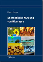 Energetische Nutzung von Biomasse