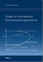 Essays on International Environmental Agreements