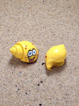 Painted Shell (small)