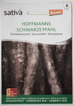 Hofmanns Schwarzwurzel