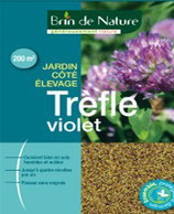 Trèfle violet 500g