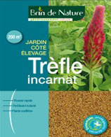 Trèfle incarnat 500g