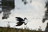 Late Birds : Semaine 39 | KW 39