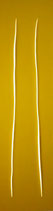 Tra le fessure del giallo