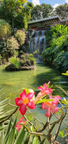 VISITE AU JARDIN BOTANIQUE AVEC RESTAURANT PANORAMIQUE VUE SUR MER DES CARAIBES