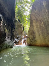 KAYAK DANS LA MANGROVE VIEUX BOURG MORNE A L EAU TIEVA