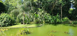 VISITE A L' AQUARIUM DE GUADELOUPE
