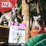 PASS KARAIBES 4en 1 ... Visite Habitation côte sous le vent ! Zoo de Guadeloupe ! Jardin Valombreuse! Musée du Café!