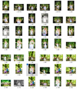 All Pictures