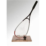 Curso - Inicia Negocio con Canchas de Squash