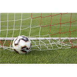 Curso - Inicia Negocio con Cancha de Futbol 7