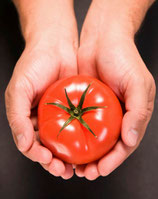 Curso - Inicia Negocio con Hidroponia
