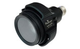 ZOOX Apollo RAYS Exotic Plant 20W