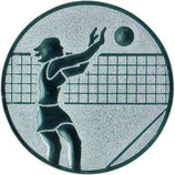 Emblem Volleyball Damen