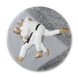 Emblem Judo 3D Resin 70mm