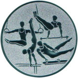 Emblem Turnen Herren