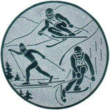 Emblem Ski Kombination
