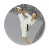 Emblem Karate 3D Resin 70mm