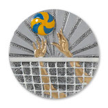 Emblem Volleyball 3D Resin 70mm