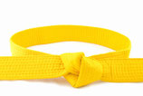 Six Sigma Yellow Belt Training - Drei Lernpakete