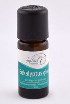 Eukalyptus globulus Öl Bio 10 ml
