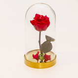 Rosa Stabilizzata "Beauty & Beast"