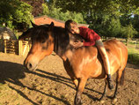 Reitcamp - Sommer-Ferien auf 4 Hufe! Juli 2026
