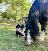 Reitcamp - Herbstferien auf 4 Hufen!