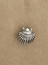 Charms Muschel