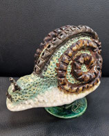 Schnecke Grün-Braun