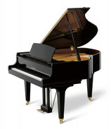 Kawai GL 30 Flügel