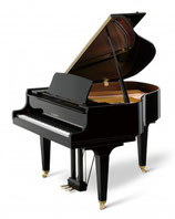 Kawai GL 10 Flügel