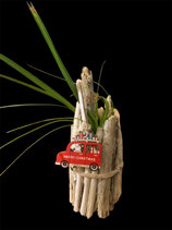 Vase en bois flotté et papyrus pour Noël