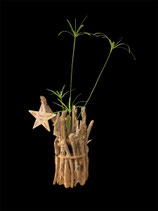 Vase en bois flotté, décoré d'une étoile Joyeux Noël en bois et papyrus pour Noël