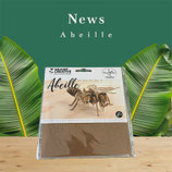 Maquette 3D en carton abeille