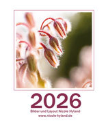 Polaroid-Kalender 2026
