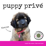 Ik schrijf me in voor Puppy Privé!