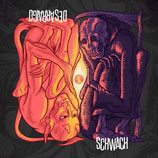 Schwach / Desarraigo EP Split
