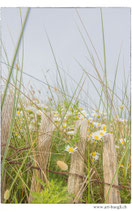 Faltkarte Natur 670