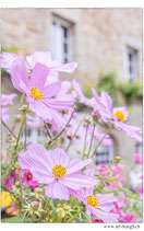 Faltkarte Natur 667