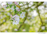 Faltkarte Natur 658